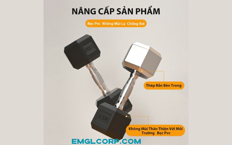 Tạ tập tay 5KG bánh tạ lõi gang đặc bọc cao su cao cấp thể dục tại nhà