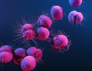 A Review of Antibody Therapeutics Approved by the FDA Over the Past Decade