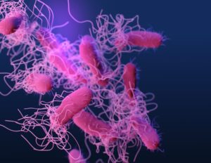 Advances in Antibody-Based Diagnostic Tools for Early Detection of Illness