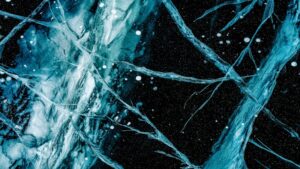 Antibodies as Targeted Therapies in Modern Cancer and Autoimmune Disease Treatment