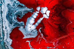 Engineering Antibodies with Extended Half-Life for Long-Term Therapeutic Efficacy and Safety