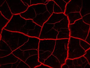 Engineering Synthetic Antibodies for Precision Medicine and Biotechnology Research