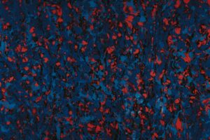 Exploring the Development and Maturation of Antibodies During Immune Response