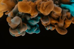 Exploring the Use of Bispecific Antibodies in Cancer and Infectious Disease Therapies