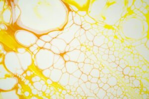 How Therapeutic Antibodies Are Being Used to Combat Antimicrobial Resistance Worldwide