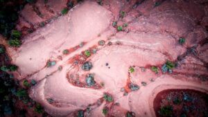 Overview of Antibody Production Techniques Using Hybridoma and Recombinant DNA Technologies