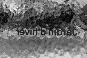 The Genetic Basis of Antibody Diversity Through V(D)J Recombination in B Cells