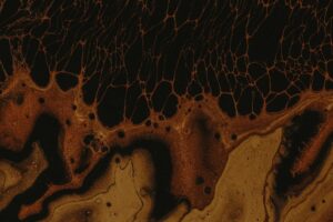 The Intersection of Nanotechnology and Antibody Therapeutics in Precision Drug Delivery Systems