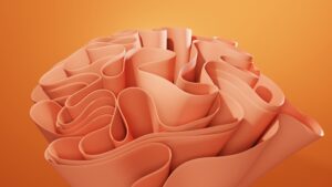 The Role of Memory B Cells in Long-Term Antibody-Mediated Immunity