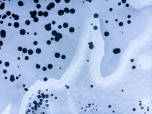 Understanding Antigen-Antibody Binding and Its Importance in Disease Diagnosis Techniques